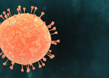 UAE Doctors Advise Vigilance, Not Panic, as India Steps Up Surveillance Following Nipah Virus Alerts