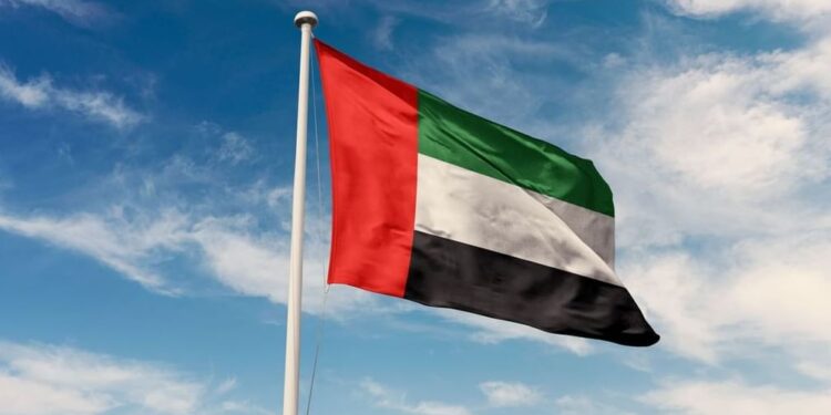 UAE Leads Arab Region in Foreign Direct Investment for 2025 with $48.2 Billion