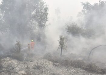 Dense wildfire haze across Kalimantan disrupts 409 flights in Indonesia as transport authorities enforce strict visibility safety protocols.