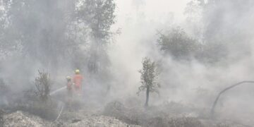 Dense wildfire haze across Kalimantan disrupts 409 flights in Indonesia as transport authorities enforce strict visibility safety protocols.
