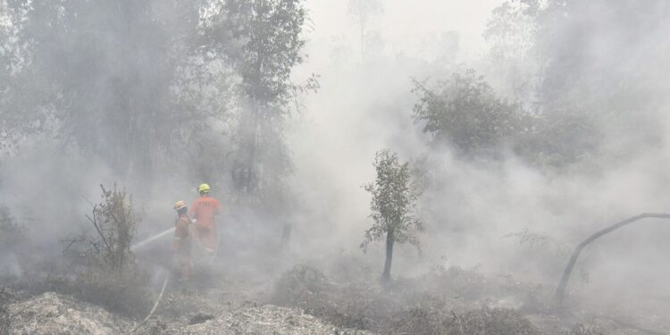 Dense wildfire haze across Kalimantan disrupts 409 flights in Indonesia as transport authorities enforce strict visibility safety protocols.
